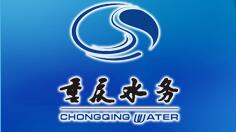 重庆水务集团 重庆水务集团