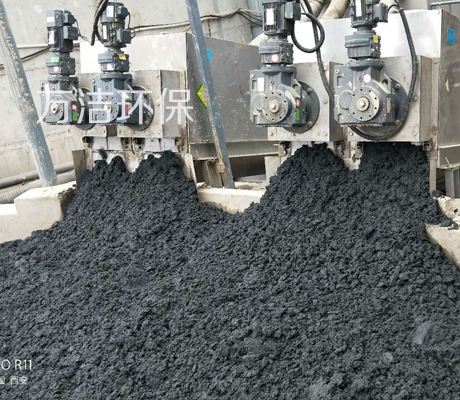 印染污泥处理设备 印染污泥处理设备